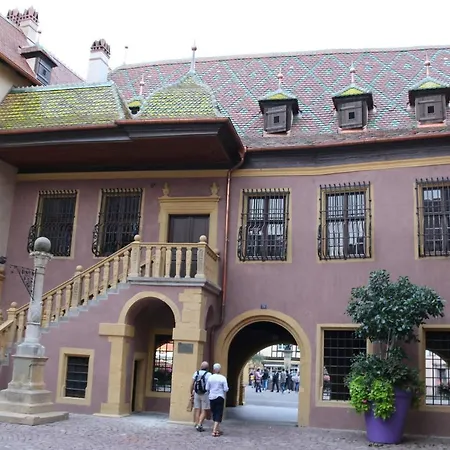 Grenier A Sel Gentleman Colmar