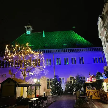 Grenier A Sel Gentleman Apartment Colmar