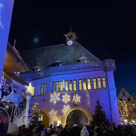 Grenier A Sel Gentleman Lejlighed Colmar