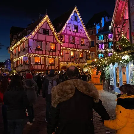 Grenier A Sel Gentleman Apartment Colmar