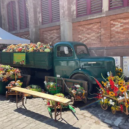 Grenier A Sel Gentleman Lägenhet *