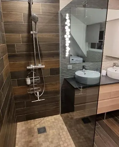 Grenier A Sel Gentleman * Colmar