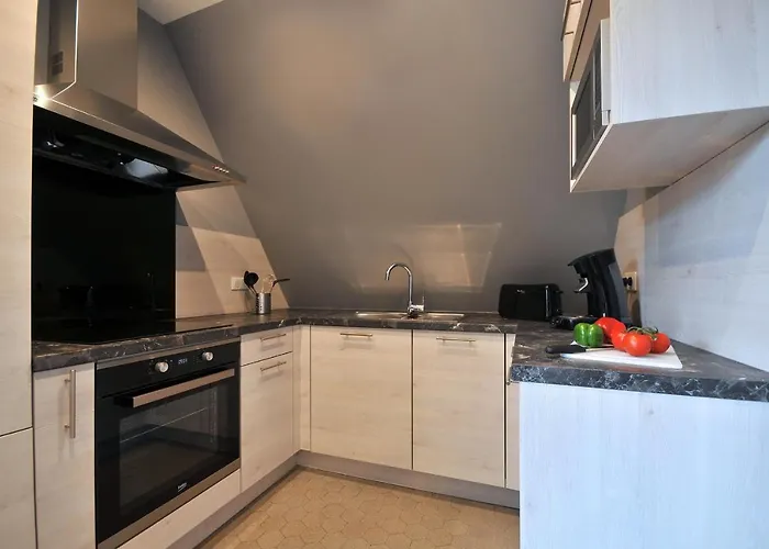 Grenier A Sel Gentleman コルマール