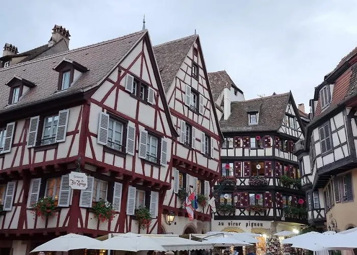 Grenier A Sel Gentleman *