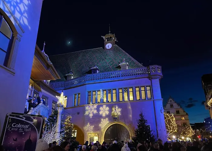 Grenier A Sel Gentleman アパート コルマール